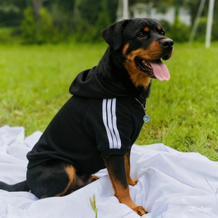 罗威纳专用衣服狗狗冬季宠物大型犬大狗四脚护肚卫衣加绒过冬神器