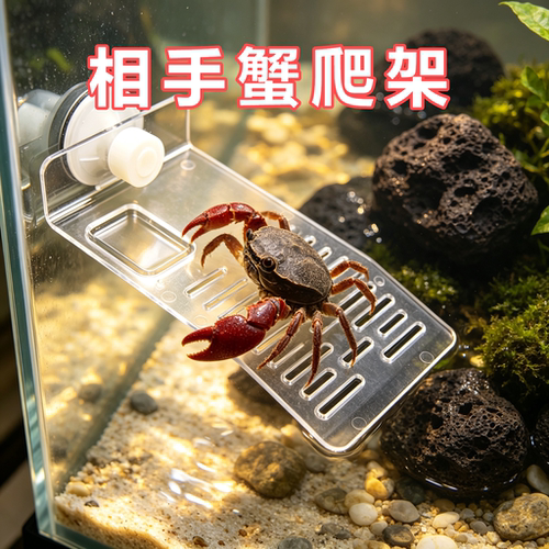 相手蟹专用晒台爬坡晒爬台浮台浮岛爬梯水族箱造景装饰晒背台爬架