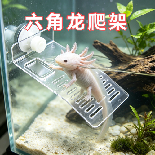 六角龙专用晒台爬坡晒爬台浮台浮岛爬梯水族箱造景装饰晒背台爬架