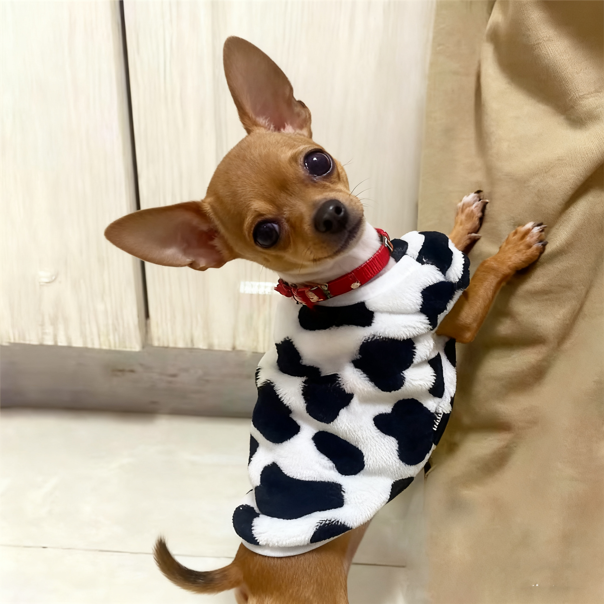 小鹿犬小体吉娃娃专用加绒加厚保暖背心幼犬奶狗超小码衣服秋冬季