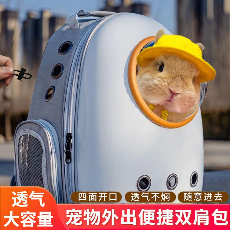 宠物垂耳侏儒兔用品小黄鸭