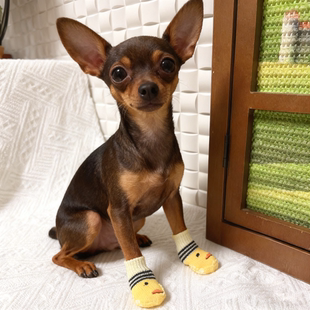 小鹿犬专用袜子小型幼犬狗狗脚套防挠爪套爪子防抓防脏鞋套静音