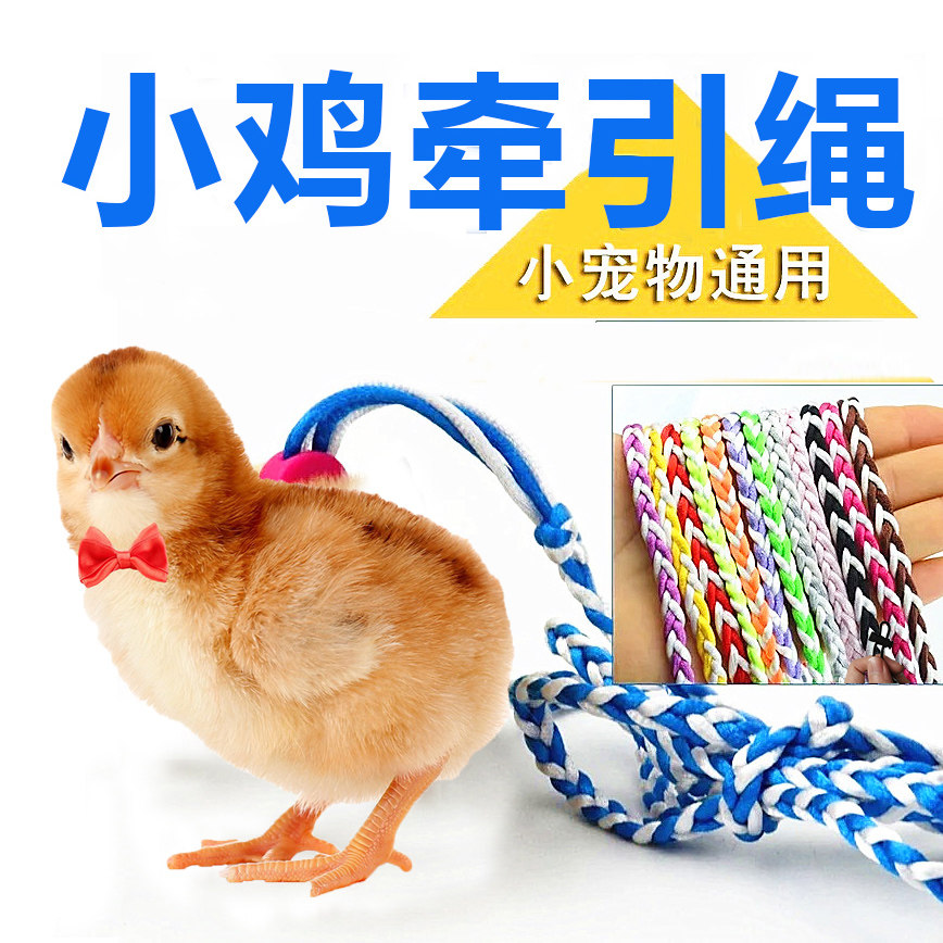 溜鸭子的绳子小鸡牵引绳溜宠物小鸡鸭子专用绑绳芦丁鸡崽外出门遛
