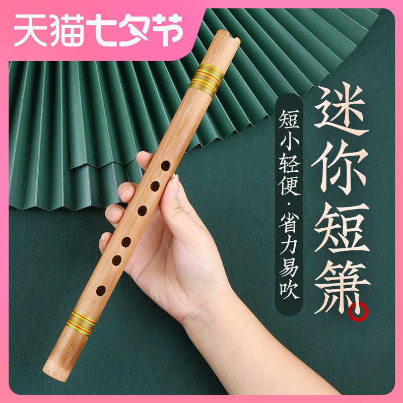 零基础入门洞箫便携苦竹高级短萧迷你小笛子古风六F调初学萧乐器怎么看?