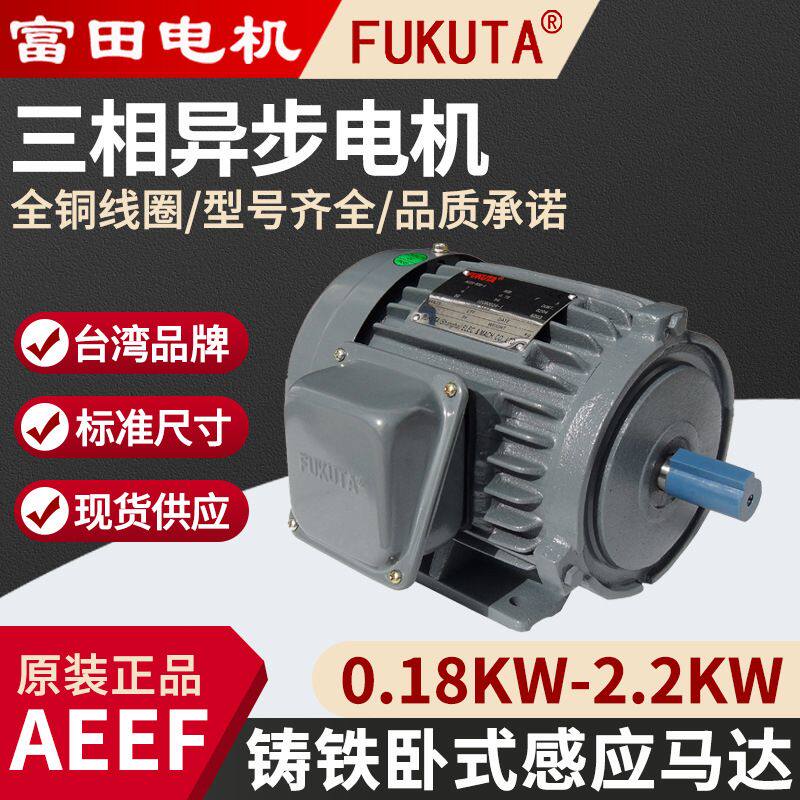 台湾富田AEEF三相异步电机 FUKUTA 铸铁卧式感应马达 0.18KW