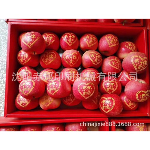 山西太原苹果打字贴字移印机 水果印字模板模具可食用墨水销售