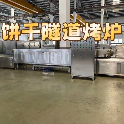 电加热隧道烤炉烘焙饼干食品加工饼干隧道烤炉源头厂家直销工业用