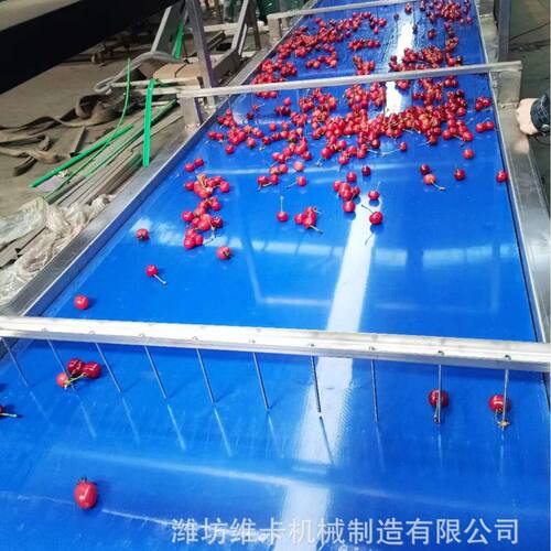 樱桃车厘子选果机 水果智能分选机多少钱 滚杠式大型清洗分选设备