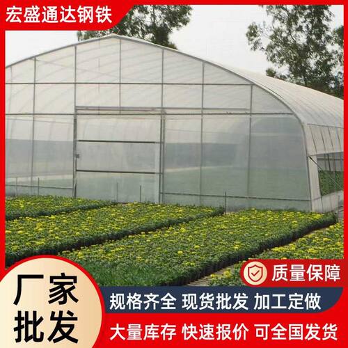 大棚厂家按需供应温室大棚骨架 春秋冷棚 单体农业蔬菜种植大棚