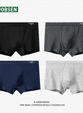 Underpants Shorts For Men Plus Size Underwear Boxer Brief