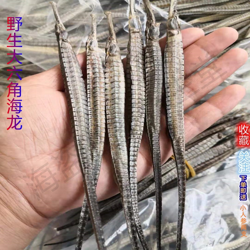 野生海龙干货公母晒干煲汤滋补养生泡酒药材海龙马深海六角海龙干