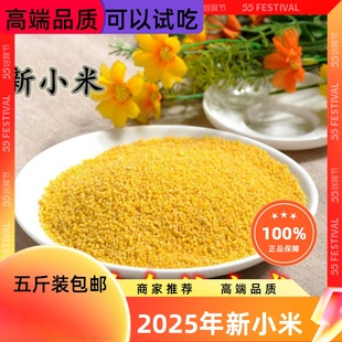 2025藁城马庄新黄金谷小米五斤小黄米黄小米农家月子米小黄米包邮