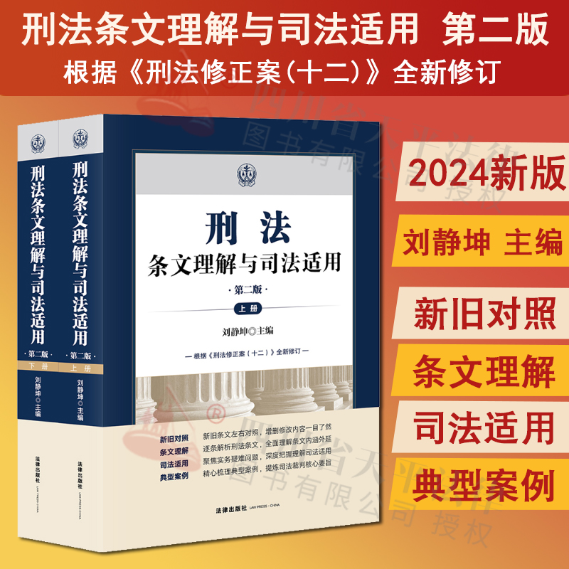 刑法条文理解与司法适用第二版