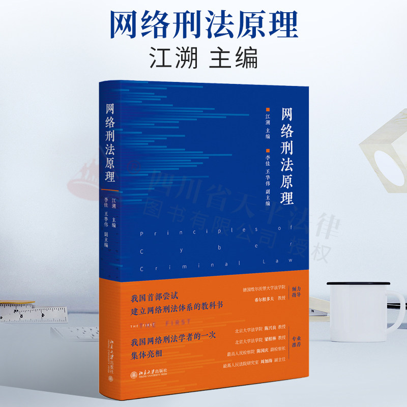 2022新书 网络刑法原理 江溯 网络刑法体系教科书 陈兴良 梁根林 陈国庆 周加海专业推荐 法律规范和司法判例 北京大学出版社