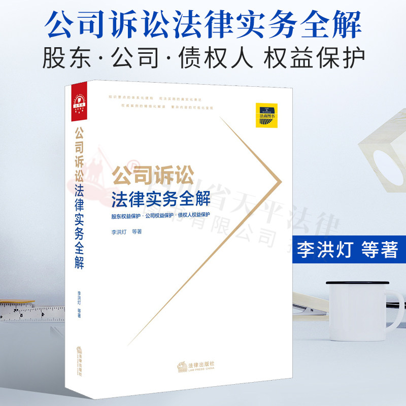 现货 2021新书 公司诉讼法律实务全解 李洪灯 公司纠纷可视化思维导图 权利基础规范 股东权益保护 公司权益保护 债权人权益保护
