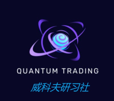 wyckoff price action--Quantum 期货交易课程