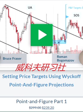 Wyckoff analytics-Point-And-Figure Part I 点数图 中英字幕