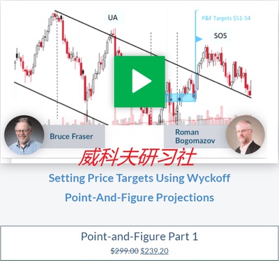 Wyckoff analytics-Point-And-Figure Part I 点数图 中英字幕