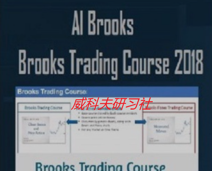 price action--Al Brooks Trading Course (2018)中英字幕