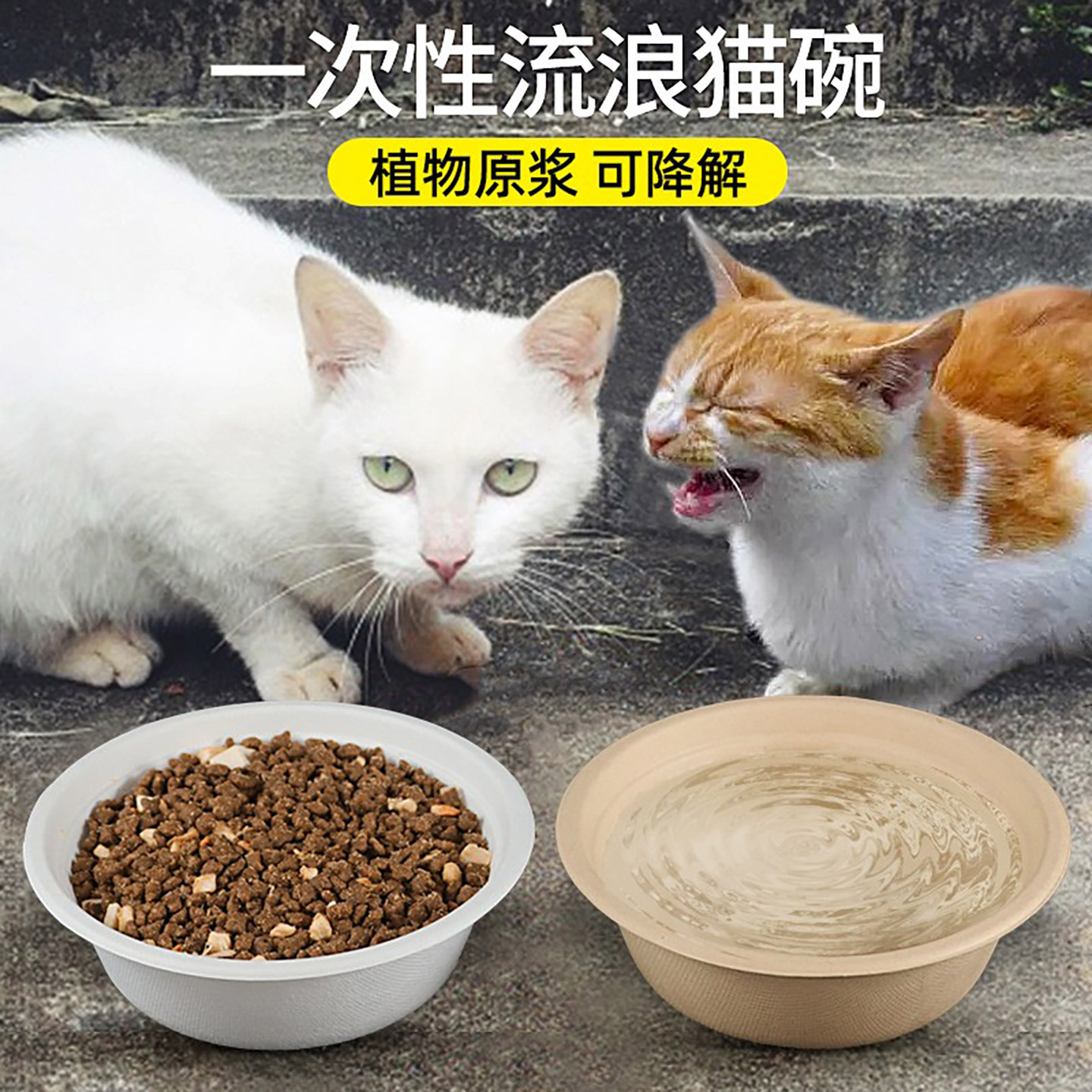 流浪猫一次性猫碗户外防雨猫碗