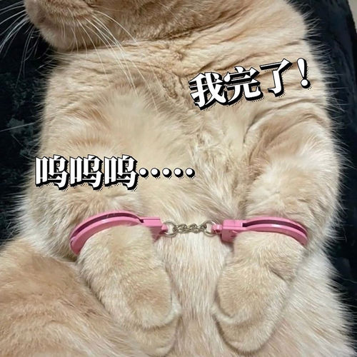 艾贝迪猫咪手铐恶搞玩具迷你链子