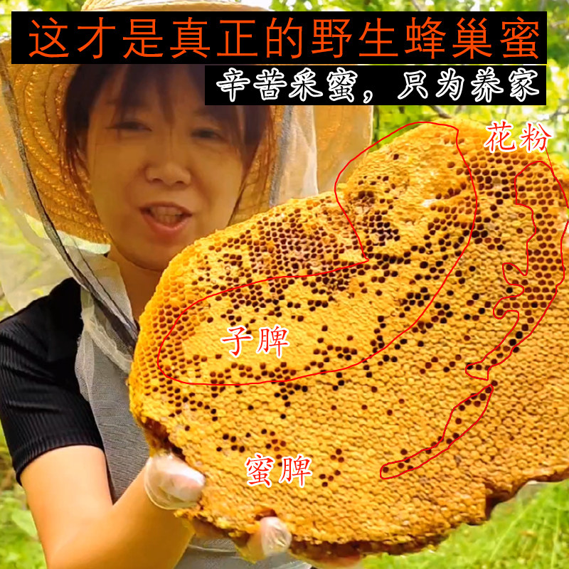 秦岭野生蜂巢蜜嚼着吃蜂蜜纯正天然老巢蜜农家正宗土蜂蜜蜂巢蜂窝