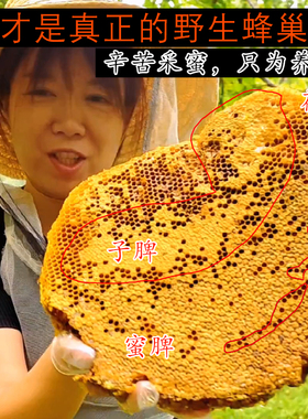 秦岭野生蜂巢蜜嚼着吃蜂蜜纯正天然老巢蜜农家正宗土蜂蜜蜂巢蜂窝