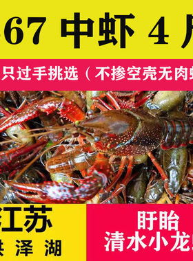 盱眙小龙虾567钱4斤青壳活虾红壳