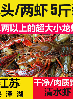 盱眙小龙虾斤装洪泽湖鲜活现货