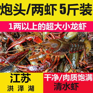盱眙小龙虾斤装洪泽湖鲜活现货