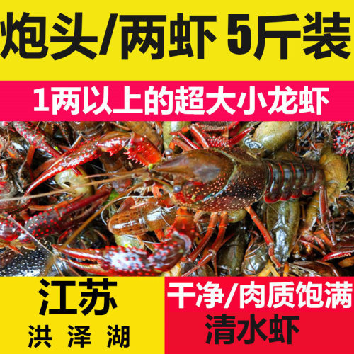 盱眙小龙虾斤装洪泽湖鲜活现货