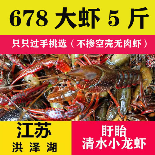 江苏洪泽湖盱眙小龙虾678钱5斤