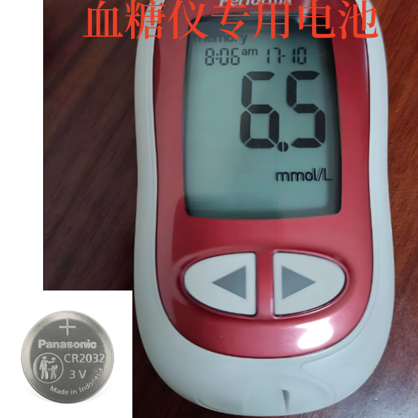 适用进口罗氏卓越型活力智航型强生稳豪倍易稳血糖仪电池CR2032用