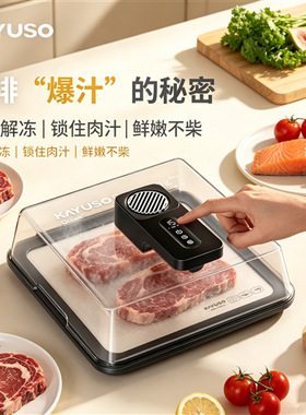 KAYUSO极速回鲜解冻器厨房食材快速解冻神器家用化冻除菌导热板