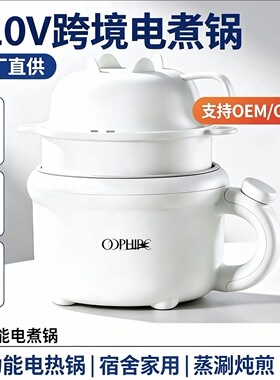跨境外贸专供110V电煮锅家用宿舍煎炒小电锅多功能蒸煮小型一体电