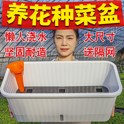 阳台专用种菜盆自吸水花盆草莓盆