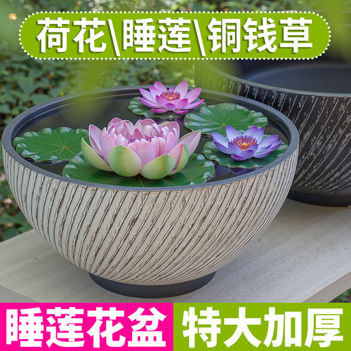 碗莲水培花盆荷花睡莲铜钱草盆缸