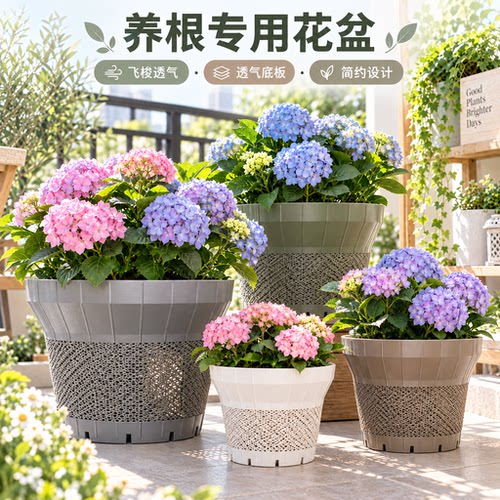 透气塑料花盆镂空透气种植盆蝴蝶兰热植专用控根盆加厚耐用加仑盆