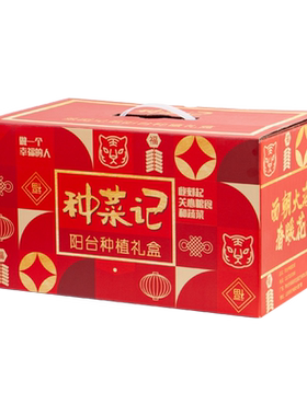 创意蔬菜种植礼盒送礼长辈