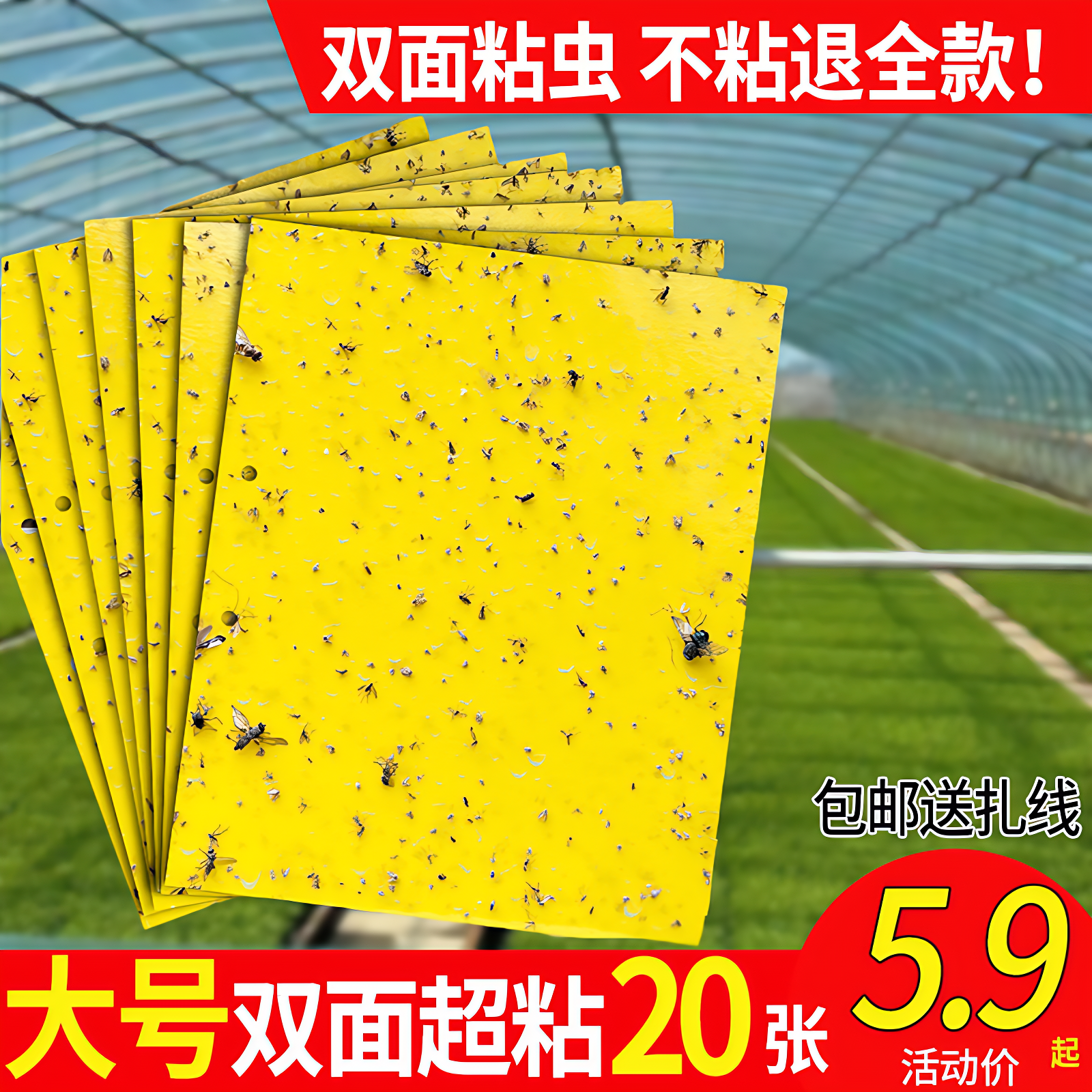 黄板双面粘虫板沾果蝇诱捕器家用