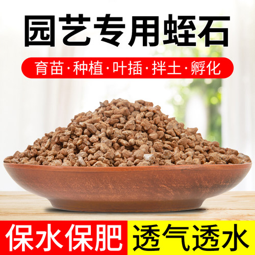 园艺蛭石营养土多肉插秧