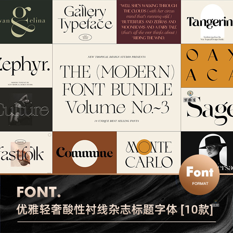 10套高级优雅轻奢北欧酸性杂志海报标题LOGO设计衬线英文字体素材
