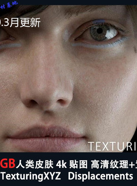 162GB 人类xyz皮肤贴图纹理高清人物素材 Texturing XYZ