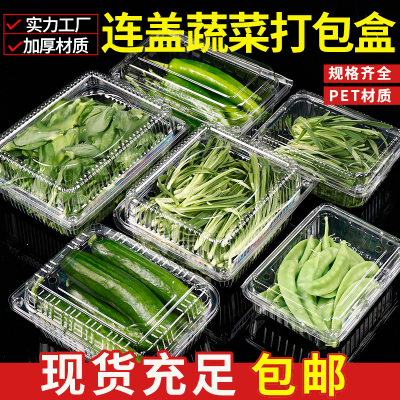 有机港菜一次性包装盒子高端叶菜花菜加厚塑料打包盒水果蔬菜托盒