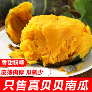 真贝贝南瓜正宗山东5斤板栗味小南瓜栗面孕妇宝宝辅食粉糯香甜