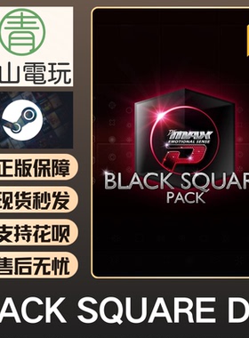 Steam正版 DJMAX RESPECT 致敬 V Black Square Pack DLC 激活码