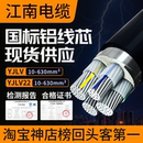 YJLV江南电缆国标铝芯铠装 4芯5平方电线户外专用工地电力线缆