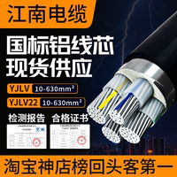 YJLV江南電纜國標(biāo)鋁芯鎧裝