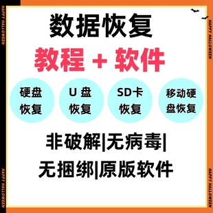 U盘格式化电脑移动硬盘回收站sd卡文件数据恢复大师会员工具软件