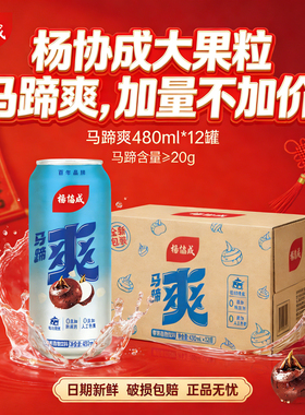 【春节延迟发货】杨协成经典马蹄爽大罐装畅饮饮料480ml×12罐